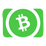 payment-bitcoin cash